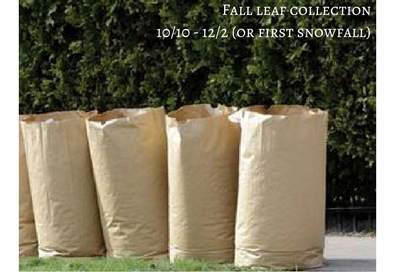 NF leaf collection NEW.jpg